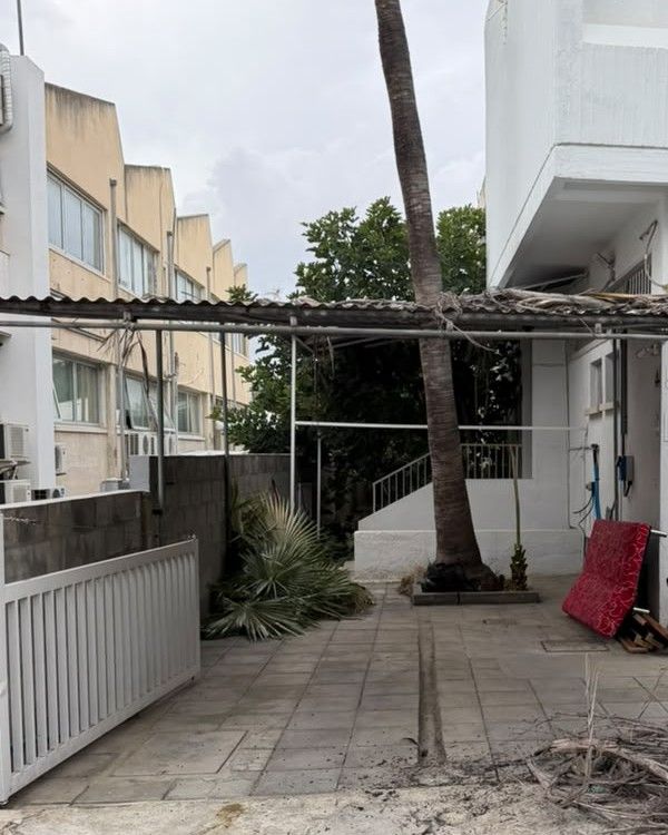 The courtyard outside the new space, with a palm tree, being cleared